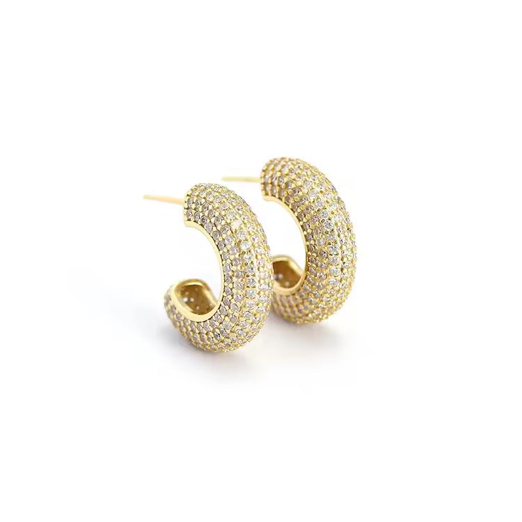 Diamond Donut Hoop Earrings